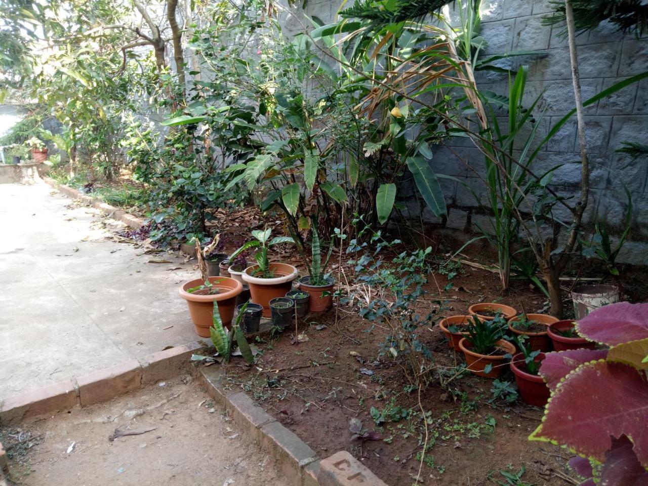 Coorg Villas Madikeri Extérieur photo